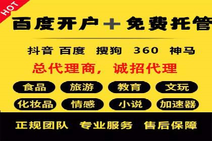 行业内的SEM竞价代运营公司优秀案例剖析